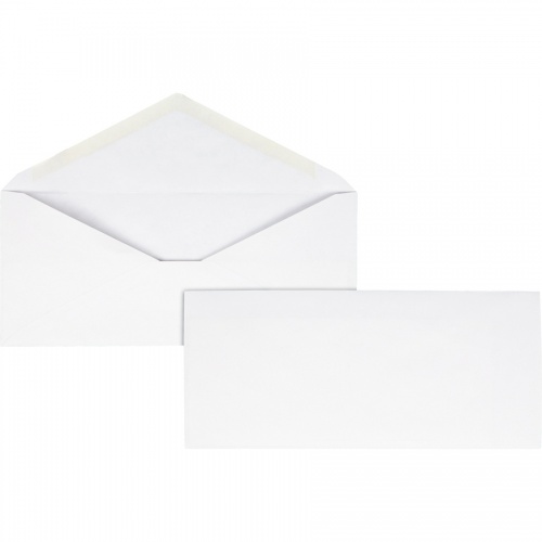 Business Source No. 10 V-Flap Envelopes (99715)