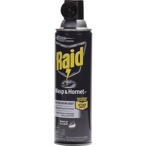 Raid Wasp/Hornet Killer Spray (668006EA)