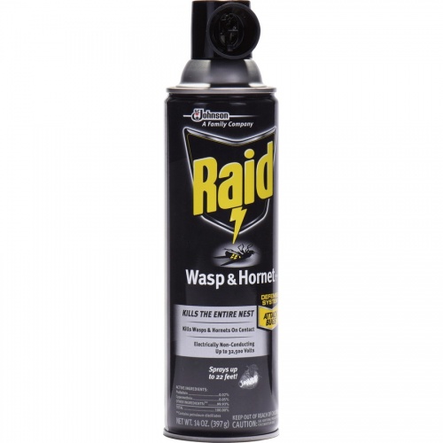 Raid Wasp/Hornet Killer Spray (668006EA)