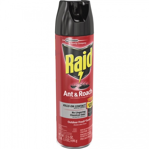 Raid Ant/Roach Killer Spray (669798EA)