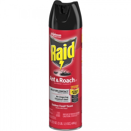 Raid Ant/Roach Killer Spray (669798)