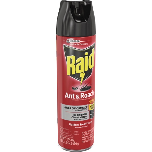 Raid Ant/Roach Killer Spray (669798)