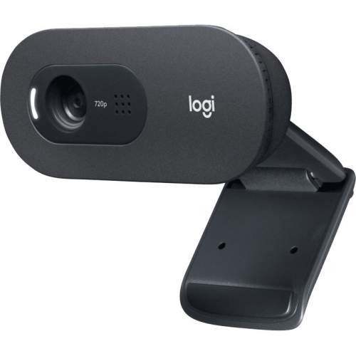 Logitech C505 Webcam - 30 fps - USB Type A (960001363)