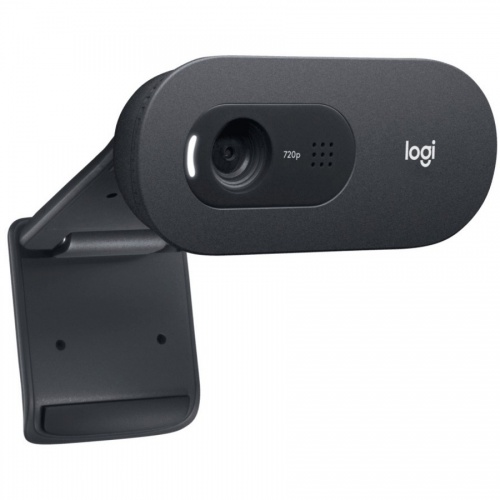 Logitech C505 Webcam - 30 fps - USB Type A (960001363)
