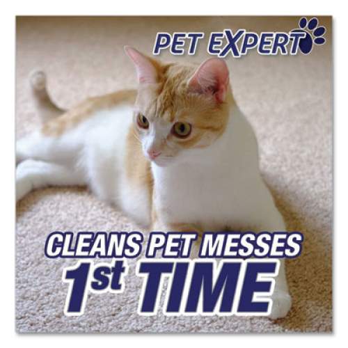 RESOLVE Pet High Traffic Foam Carpet and Upholstery Cleaner, 22 oz Aerosol Spray (83262)