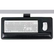 Ergonomic Concepts Economy Keyboard/Mouse Platform (ECI910SPL)