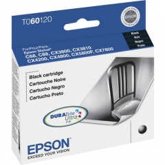Epson DURABrite Original Ink Cartridge (T060120S)