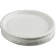 Skilcraft Disposable Paper Plate (8993054)
