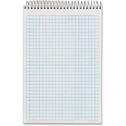 Tops NoteWorks Steno Book (63825)