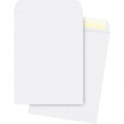 Business Source 28 lb. White Catalog Envelopes (42103)