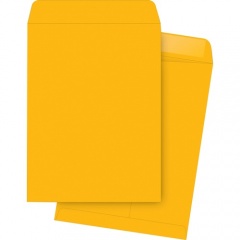 Business Source Kraft Gummed Catalog Envelopes (42114)