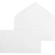 Business Source Diagonal Seam No. 9 Envelopes (04469)