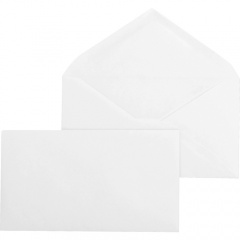 Business Source Diagonal Seam No. 9 Envelopes (04469)