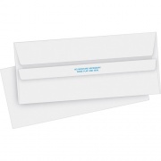 Business Source No. 10 Self-seal Invoice Envelopes (04644)