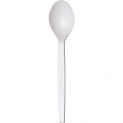 Eco-Products 7" PSM Spoons (EPS003PK)
