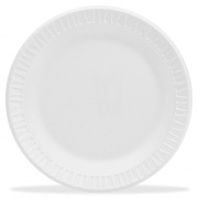 Dart Round Foam Dinnerware Plate (9PWCR)