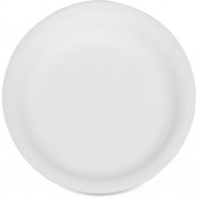 Skilcraft 9" Disposable Paper Plates (7350002900594)
