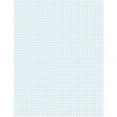 Ampad Quad Ruled Specialty Pad - Letter (22030C)