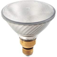 Satco 60-watt PAR38 Halogen Bulb (S2248)