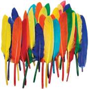 Pacon Creativity Street Duck Quill Feathers (4505)