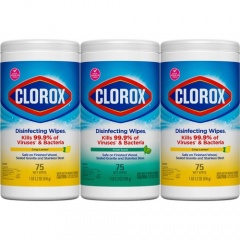 Clorox Disinfecting Wipes Value Pack, Bleach-Free Cleaning Wipes (30208PK)