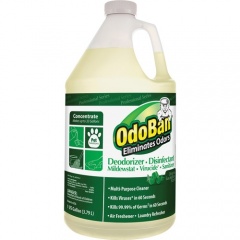 OdoBan Eucalyptus Multi-purpose Deodorizer Disinfectant Concentrate (911062G4EA)