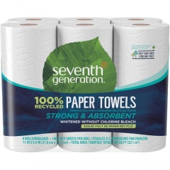 Seventh Generation 100% Recycled Paper Towels (13731CT)