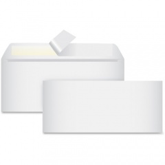 Business Source Peel-To-Seal Envelopes (99712)