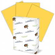 International Paper Paper for Copy 8.5x11 Copy & Multipurpose Paper - Gold - Recycled - 30% Recycled Content (103168CT)