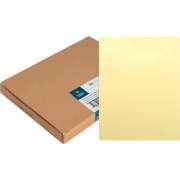 Business Source Letter File Sleeve (00608BX)