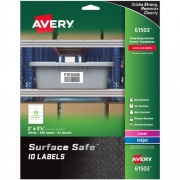 Avery Surface Safe ID Label (61503)