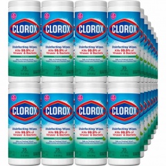 Clorox Disinfecting Cleaning Wipes - Bleach-Free (01593PL)