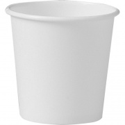 Solo Hot/Cold Paper Cups (374W2050)