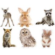 Carson-Dellosa Education Carson-Dellosa Education Woodland Whimsy Animals Cut-Outs Set (120564)