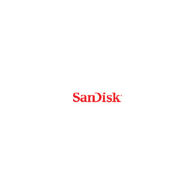Sandisk 256gb M.2 2280 Sata Client Ssd (SDASN8Y-256G-1122)