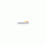 Cradlepoint Renewal Netcloud Branch Performance (BDA1-NCEA-R)