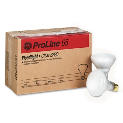 GE Incandescent Soft White BR30 Light Bulb, 65 W, 6/Carton (24705)