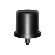 Parsec Technologies Chihuahua St Series 2-in-1 Antenna (PRO2ST2L06B)
