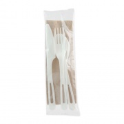 World Centric TPLA Compostable Cutlery, Knife/Fork/Spoon/Napkin, 6", White, 250/Carton (ASPSTN)