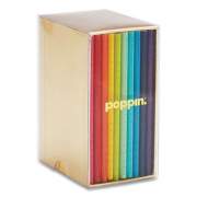 Poppin 101024 Mini Medley Professional Notebooks