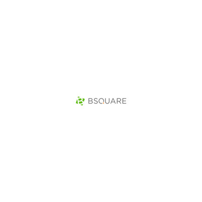 Bsquare Windows Server Embedded Standard 2019 Multilang Esd Olc 16 Core Essentials (6FA-00436)