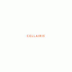 Cellairis Ss Tab A 8.0 T290 Bt Keyboard Case Blk (06-0130023)