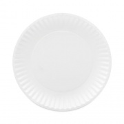AJM Packaging Coated Paper Plates, 9" dia, White, 100/Pack, 12 Packs/Carton (CP9GOAWH)