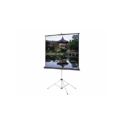 DA-Lite Screen Company Picture King,60x60 Mw Cpb (93868)