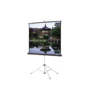 DA-Lite Screen Company Picture King,84d 50x67 Mw Cpb (93880)