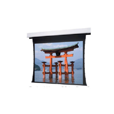 DA-Lite Screen Company Adv Dlx,tnsd 100d Dm (88247)