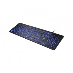 Adesso 2x Large Print Illuminated Usb Keyboard (AKB-139EB)