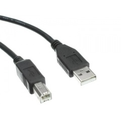 Axiom Usb 2.0 Type-a To Type-b Cable 6ft (USB2ABMM06-AX)