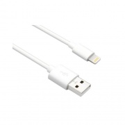 Axiom Lightning To Usb Adapter Cable 3ft (LGMUSBAMW03-AX)