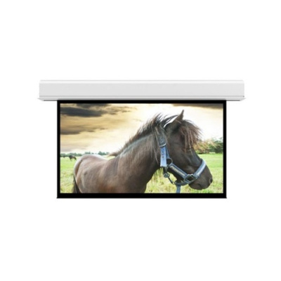 DA-Lite Screen Company Advantage 18x24 Mw (36993L)